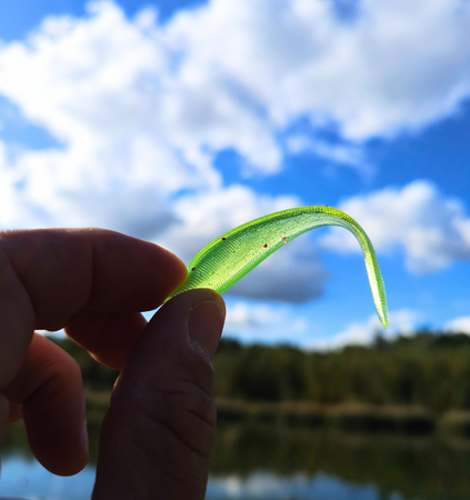 Dropshówka 8.9 cm – 6 szt. Przynęty na Okonia | Doskonała na Dropshot i Czeburaszkę