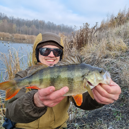 PERCHBOX™ OKOŃ (4 - 6 cm)