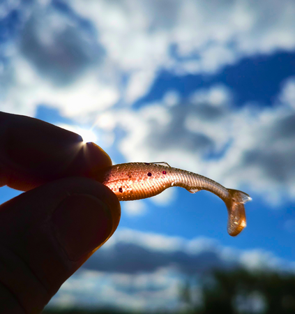 Apex Shiner 4.3 cm – 8 szt. Przynęta na Okonia | Intensywna Akcja Boot Tail