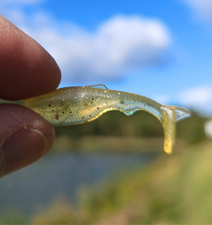 Apex Shiner 4.3 cm – 8 szt. Przynęta na Okonia | Intensywna Akcja Boot Tail